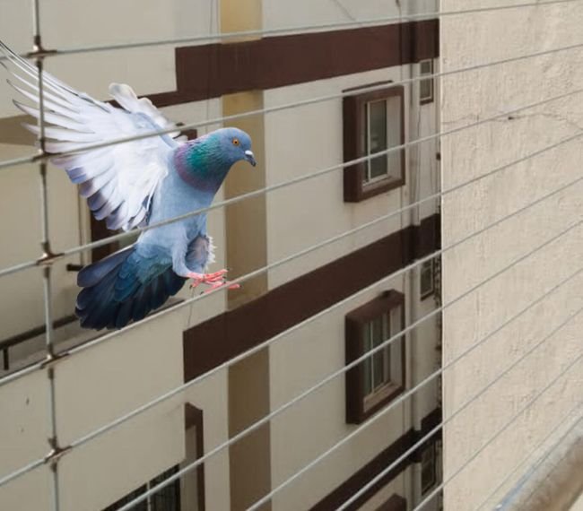 Invisible Grill for Windows